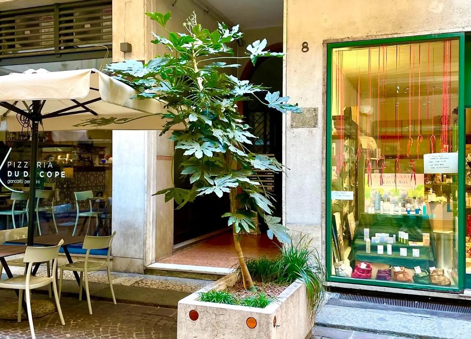 Domus Pellicciai Apartment Verona Italy